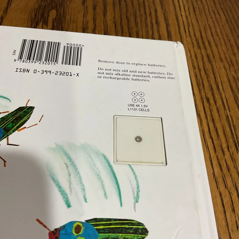 Very busy spider 🕷️ very clumsy click beetle 🪲 & 5 little pumpkins 🎃 Halloween